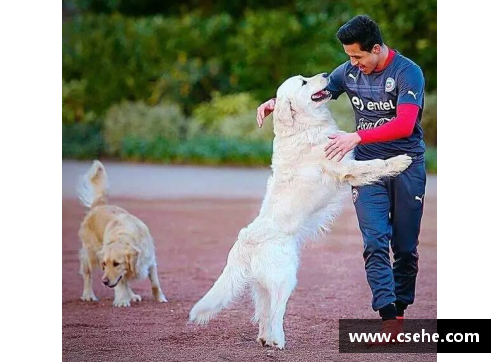 彩神Ⅴll大发足球球星与爱犬甜蜜瞬间高清图集展现无限温馨与感动 - 副本